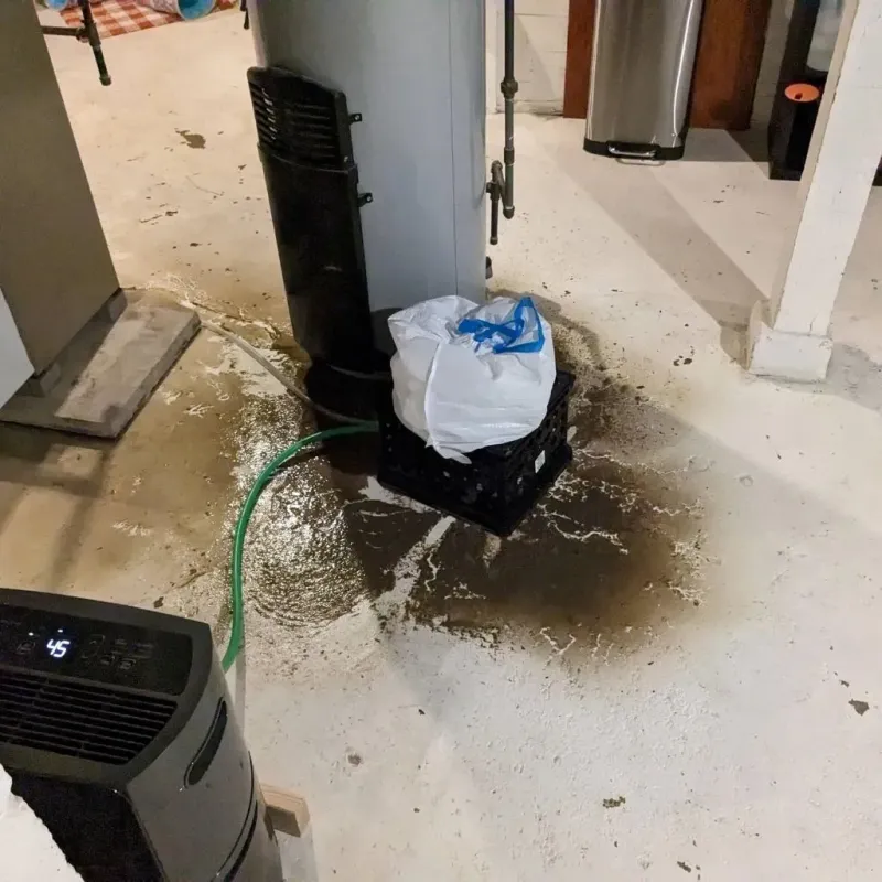 Sewage Backup Cleanup Service in Worcester, MA